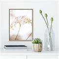 Picture of Desert Bloom Elegance _GroupedProduct_Rectangle_Portrait_Photography _GroupedProduct_Rectangle_Portrait_Canvas_Framed_