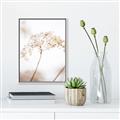Picture of Desert Bloom Elegance _GroupedProduct_Rectangle_Portrait_Photography _GroupedProduct_Rectangle_Portrait_Canvas_Framed_