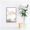 Picture of Desert Bloom Elegance _GroupedProduct_Rectangle_Portrait_Photography _GroupedProduct_Rectangle_Portrait_Canvas_Framed_