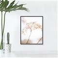 Picture of Desert Bloom Elegance _GroupedProduct_Rectangle_Portrait_Photography _GroupedProduct_Rectangle_Portrait_Canvas_Framed_
