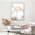 Picture of Desert Bloom Elegance _GroupedProduct_Rectangle_Portrait_Photography _GroupedProduct_Rectangle_Portrait_Canvas_Framed_
