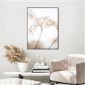 Picture of Desert Bloom Elegance _GroupedProduct_Rectangle_Portrait_Photography _GroupedProduct_Rectangle_Portrait_Canvas_Framed_