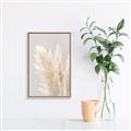 Picture of Creamy Petal Pampas I _GroupedProduct_Rectangle_Portrait_Photography _GroupedProduct_Rectangle_Portrait_Canvas_Framed_