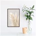 Picture of Creamy Petal Pampas I _GroupedProduct_Rectangle_Portrait_Photography _GroupedProduct_Rectangle_Portrait_Canvas_Framed_