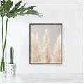 Picture of Creamy Petal Pampas II _GroupedProduct_Rectangle_Portrait_Photography _GroupedProduct_Rectangle_Portrait_Canvas_Framed_