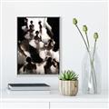 Picture of Pale Bloom Ensemble _GroupedProduct_Rectangle_Portrait_Photography _GroupedProduct_Rectangle_Portrait_Canvas_Framed_