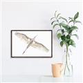 Picture of Serenade Flight _GroupedProduct_Rectangle_Landscape_Photography _GroupedProduct_Rectangle_Landscape_Canvas_Framed_