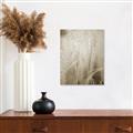 Picture of Elysian Grass _GroupedProduct_Rectangle_Portrait_Photography _GroupedProduct_Rectangle_Portrait_Unframed_Print_Only_