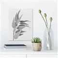 Picture of Dried Eucalyptus Blossom _GroupedProduct_Rectangle_Portrait_Photography _GroupedProduct_Rectangle_Portrait_Unframed_Print_Only_