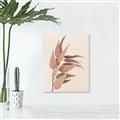 Picture of Dried Eucalyptus Blossom _GroupedProduct_Rectangle_Portrait_Photography _GroupedProduct_Rectangle_Portrait_Unframed_Print_Only_
