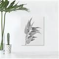Picture of Dried Eucalyptus Blossom _GroupedProduct_Rectangle_Portrait_Photography _GroupedProduct_Rectangle_Portrait_Unframed_Print_Only_