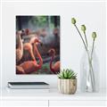 Picture of Flamingo _GroupedProduct_Rectangle_Portrait_Photography _GroupedProduct_Rectangle_Portrait_Unframed_Print_Only_