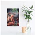 Picture of Flamingo _GroupedProduct_Rectangle_Portrait_Photography _GroupedProduct_Rectangle_Portrait_Unframed_Print_Only_