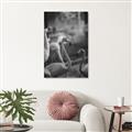 Picture of Flamingo _GroupedProduct_Rectangle_Portrait_Photography _GroupedProduct_Rectangle_Portrait_Unframed_Print_Only_