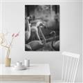 Picture of Flamingo _GroupedProduct_Rectangle_Portrait_Photography _GroupedProduct_Rectangle_Portrait_Unframed_Print_Only_