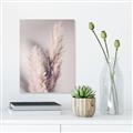 Picture of Enchanted Pampas Grass _GroupedProduct_Rectangle_Portrait_Photography _GroupedProduct_Rectangle_Portrait_Unframed_Print_Only_