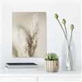 Picture of Enchanted Pampas Grass _GroupedProduct_Rectangle_Portrait_Photography _GroupedProduct_Rectangle_Portrait_Unframed_Print_Only_