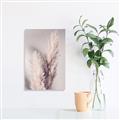 Picture of Enchanted Pampas Grass _GroupedProduct_Rectangle_Portrait_Photography _GroupedProduct_Rectangle_Portrait_Unframed_Print_Only_