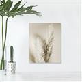 Picture of Enchanted Pampas Grass _GroupedProduct_Rectangle_Portrait_Photography _GroupedProduct_Rectangle_Portrait_Unframed_Print_Only_
