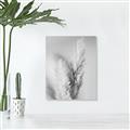 Picture of Enchanted Pampas Grass _GroupedProduct_Rectangle_Portrait_Photography _GroupedProduct_Rectangle_Portrait_Unframed_Print_Only_