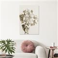 Picture of Lullaby of a Beige Flower _GroupedProduct_Rectangle_Portrait_Photography _GroupedProduct_Rectangle_Portrait_Unframed_Print_Only_
