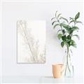 Picture of Earthy Flora Straws _GroupedProduct_Rectangle_Portrait_Photography _GroupedProduct_Rectangle_Portrait_Unframed_Print_Only_