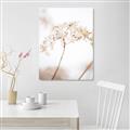 Picture of Desert Bloom Elegance _GroupedProduct_Rectangle_Portrait_Photography _GroupedProduct_Rectangle_Portrait_Unframed_Print_Only_