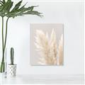 Picture of Creamy Petal Pampas I _GroupedProduct_Rectangle_Portrait_Photography _GroupedProduct_Rectangle_Portrait_Unframed_Print_Only_