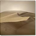 Picture of Desert Sand _GroupedProduct_Square_Photography _GroupedProduct_Square_Canvas_