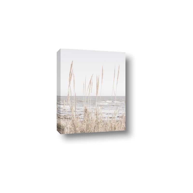 Picture of Beach Vass _GroupedProduct_Rectangle_Portrait_Photography _GroupedProduct_Rectangle_Portrait_Canvas_