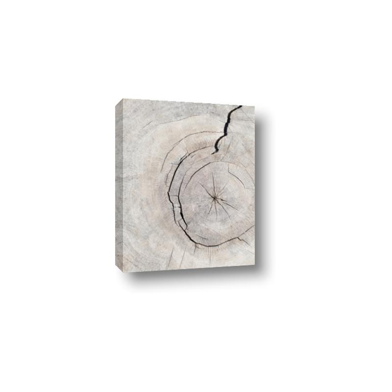 Picture of Cracked Wood _GroupedProduct_Rectangle_Portrait_Photography _GroupedProduct_Rectangle_Portrait_Canvas_