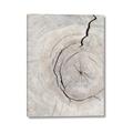 Picture of Cracked Wood _GroupedProduct_Rectangle_Portrait_Photography _GroupedProduct_Rectangle_Portrait_Canvas_