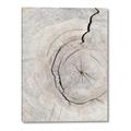 Picture of Cracked Wood _GroupedProduct_Rectangle_Portrait_Photography _GroupedProduct_Rectangle_Portrait_Canvas_