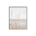 Picture of Beach Vass _GroupedProduct_Rectangle_Portrait_Photography _GroupedProduct_Rectangle_Portrait_Canvas_Framed_