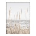 Picture of Beach Vass _GroupedProduct_Rectangle_Portrait_Photography _GroupedProduct_Rectangle_Portrait_Canvas_Framed_