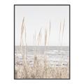 Picture of Beach Vass _GroupedProduct_Rectangle_Portrait_Photography _GroupedProduct_Rectangle_Portrait_Canvas_Framed_