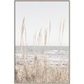 Picture of Beach Vass _GroupedProduct_Rectangle_Portrait_Photography _GroupedProduct_Rectangle_Portrait_Canvas_Framed_