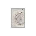 Picture of Cracked Wood _GroupedProduct_Rectangle_Portrait_Photography _GroupedProduct_Rectangle_Portrait_Canvas_Framed_