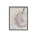 Picture of Cracked Wood _GroupedProduct_Rectangle_Portrait_Photography _GroupedProduct_Rectangle_Portrait_Canvas_Framed_