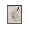Picture of Cracked Wood _GroupedProduct_Rectangle_Portrait_Photography _GroupedProduct_Rectangle_Portrait_Canvas_Framed_