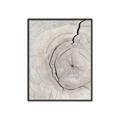 Picture of Cracked Wood _GroupedProduct_Rectangle_Portrait_Photography _GroupedProduct_Rectangle_Portrait_Canvas_Framed_
