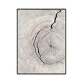 Picture of Cracked Wood _GroupedProduct_Rectangle_Portrait_Photography _GroupedProduct_Rectangle_Portrait_Canvas_Framed_