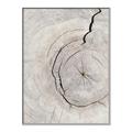Picture of Cracked Wood _GroupedProduct_Rectangle_Portrait_Photography _GroupedProduct_Rectangle_Portrait_Canvas_Framed_
