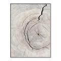Picture of Cracked Wood _GroupedProduct_Rectangle_Portrait_Photography _GroupedProduct_Rectangle_Portrait_Canvas_Framed_