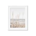 Picture of Beach Vass _GroupedProduct_Rectangle_Portrait_Photography _GroupedProduct_Rectangle_Portrait_Framed_Matted_