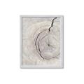 Picture of Cracked Wood _GroupedProduct_Rectangle_Portrait_Photography _GroupedProduct_Rectangle_Portrait_Framed_Matted_