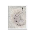 Picture of Cracked Wood _GroupedProduct_Rectangle_Portrait_Photography _GroupedProduct_Rectangle_Portrait_Framed_Matted_