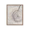 Picture of Cracked Wood _GroupedProduct_Rectangle_Portrait_Photography _GroupedProduct_Rectangle_Portrait_Framed_Matted_