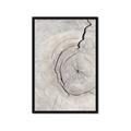 Picture of Cracked Wood _GroupedProduct_Rectangle_Portrait_Photography _GroupedProduct_Rectangle_Portrait_Framed_Matted_