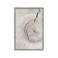 Picture of Cracked Wood _GroupedProduct_Rectangle_Portrait_Photography _GroupedProduct_Rectangle_Portrait_Framed_Matted_